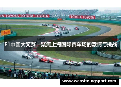 F1中国大奖赛：聚焦上海国际赛车场的激情与挑战